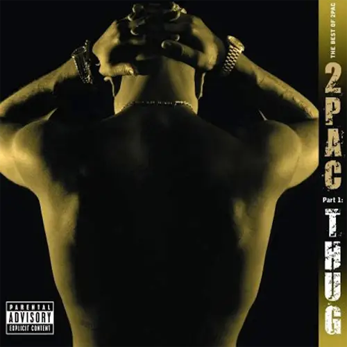 The Best Of 2Pac - Part 1: Thug (2xLP)
