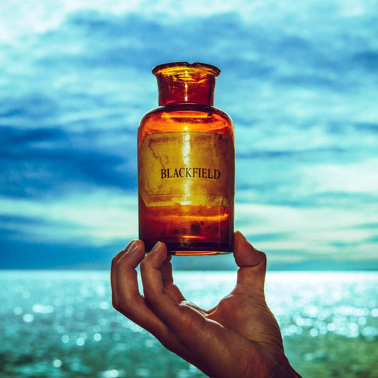 Blackfield V (LP)