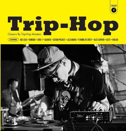 Trip-Hop - Classics By Trip-Hop Masters (LP)