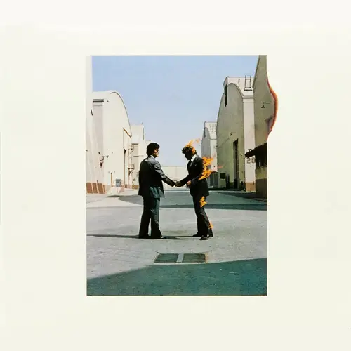 Wish You Were Here (LP)